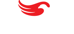 Mundo Condor » Todo cuidado para você e sua casa
