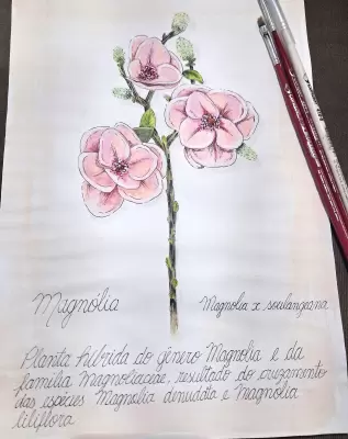 Arte de Renata de Souza Martins