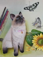 MARILENE SOARES FONSECA