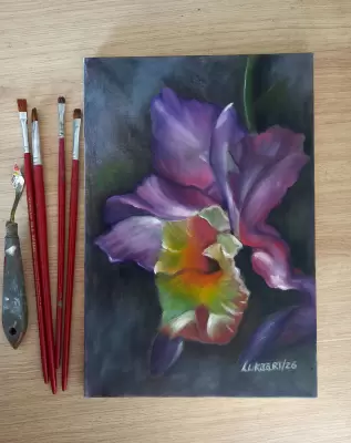 Arte de Lucas José Vieira