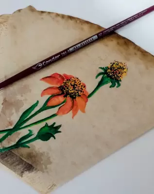Arte de Liliane Alfonso Pereira de Carvalho
