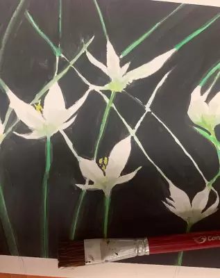 Arte de Bruna Tripoli Barbosa Lites