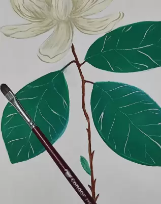 Arte de Maria Manoela de Morais Sousa