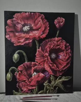 Arte de Clara Fernandes Lima